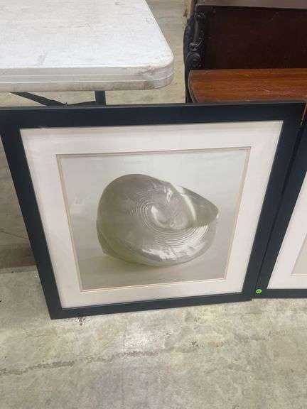 Pair of Framed Shell and Flower Prints