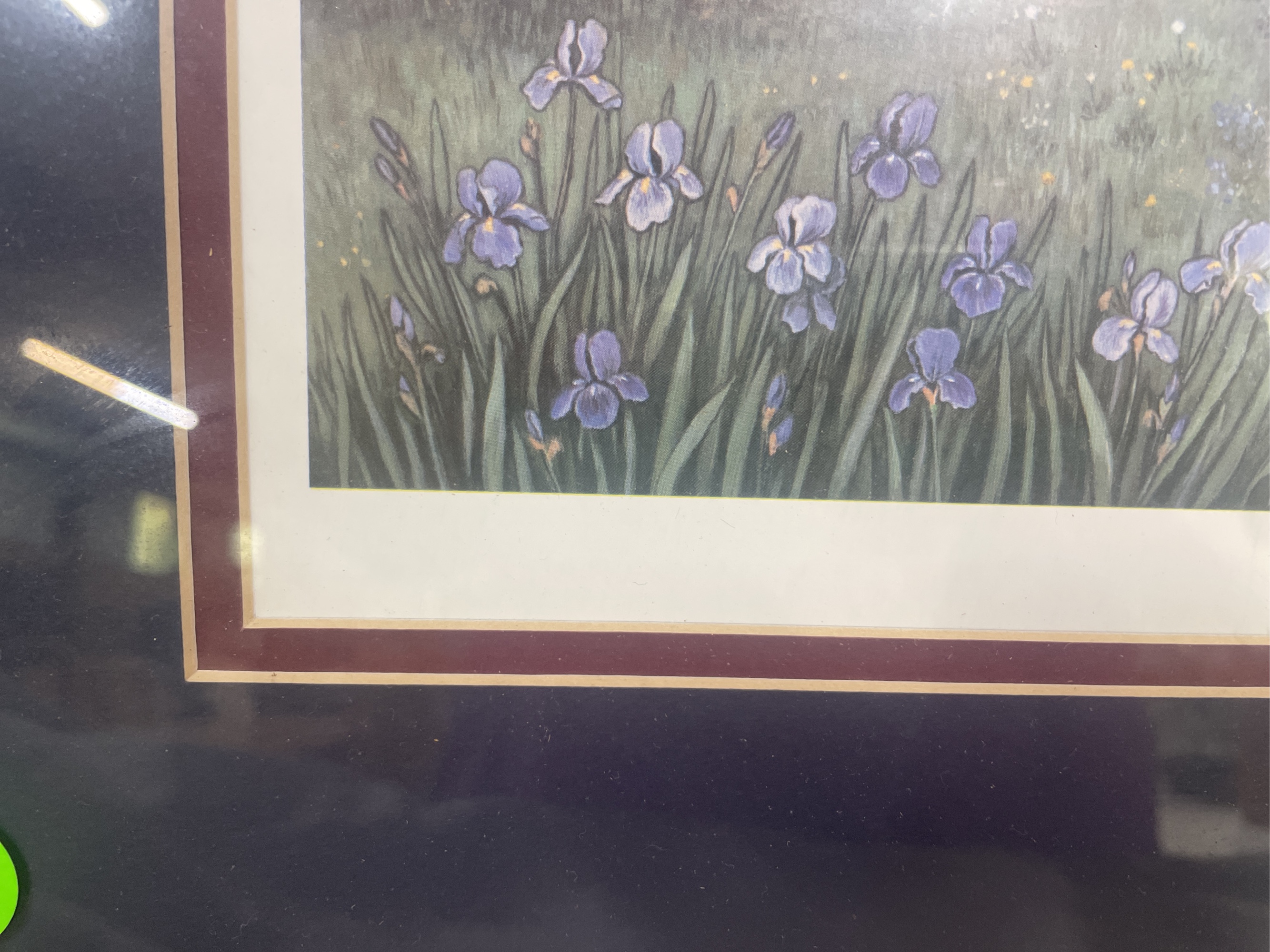 Lot image 4