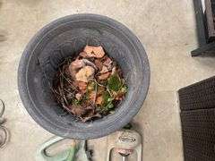 (3) Garden Pots and (4) Sprinklers