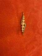 Collection of Assorted Fashion Jewelry