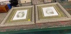 Pair of Framed Cockatoo Prints