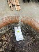 Concrete Garden Planter with Cherub Base