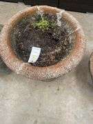 Concrete Garden Planter with Cherub Base