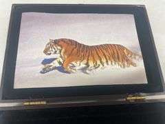Tiger Folding Knife in Presentation Box