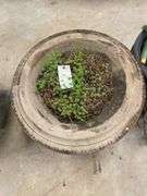 Pair of Decorative Concrete Garden Urns