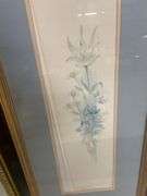 Framed Floral Prints - Pair
