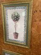 Pair of Framed Floral Topiary Prints