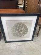 Pair of Framed Shell and Flower Prints