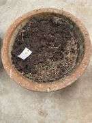 Pair of Large Garden Urns