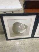 Pair of Framed Shell and Flower Prints