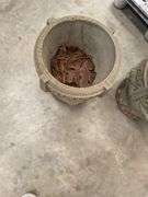Pair of Concrete Outdoor Garden Urns
