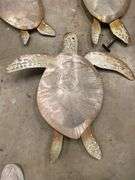 Set of Three Metal Sea Turtle Wall Decorations