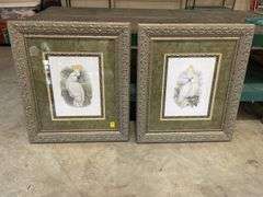 Pair of Framed Cockatoo Prints