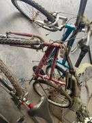 (3) Bicycles