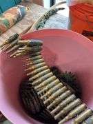 Group of 7.62 Tracer Ammo