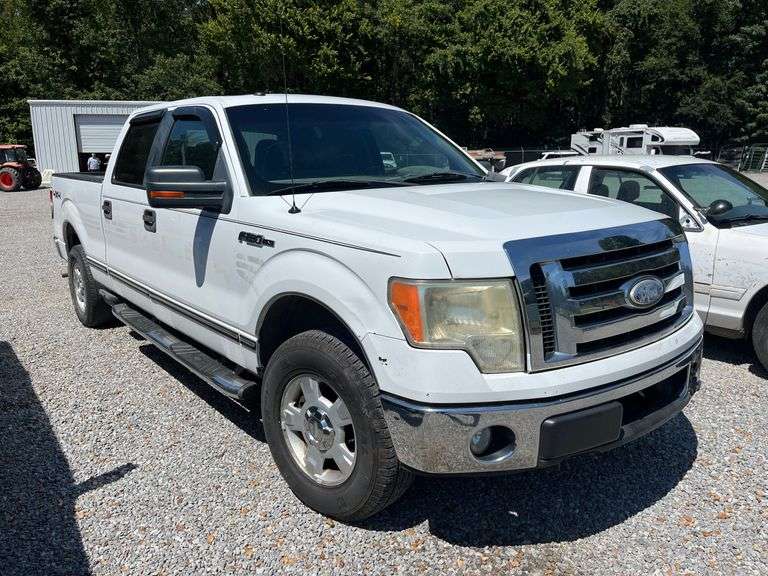 2010 Ford F 150 Pickup image