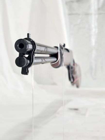 Rossi  Rio Bravo  .22LR Rifle  S/N: 7CL068435R  Original Box & Paper image