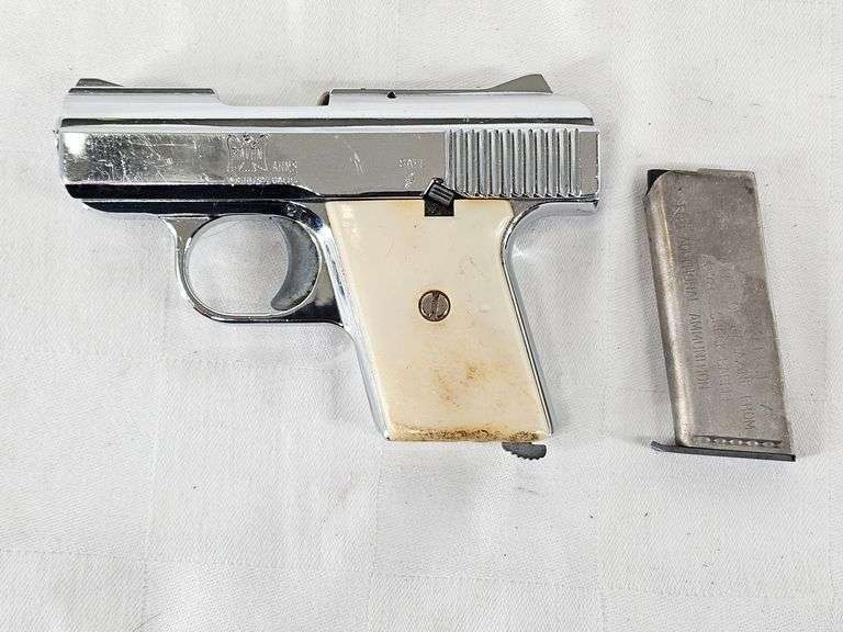 RAVEN MODEL MP-25  25 AUTO  SEMI AUTOMATIC PISTOL   1808600  1 MAGAZINE image