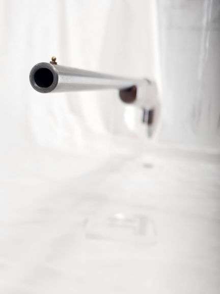 Mossberg  173B  410 GA Shotgun  S/N: NONE MARKED image