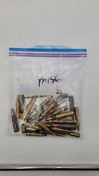 Miscellaneous Assorted Ammo(~30 Rounds) image