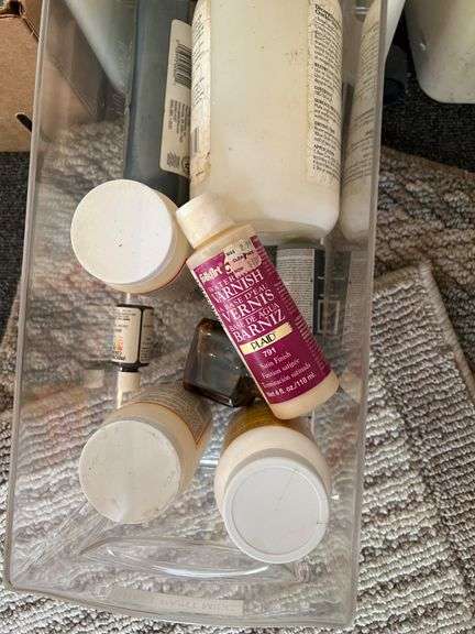 Organizer of craft paints
