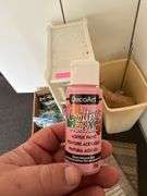 Organizer of craft paints