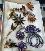Assorted Costume Jewelry Brooches and Rings