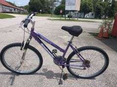 Estate & Household Auction - Vehicle, Jewelry, Antiques & More