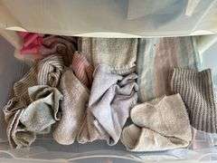 Organizers with pool care, shop rags towels and household miscellaneous