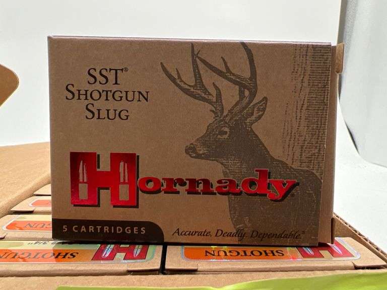 100 rounds Hornaday 20 gauge slug 250 grain image