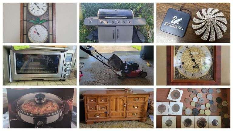 Susan Murphy Estate Guardianship Auction