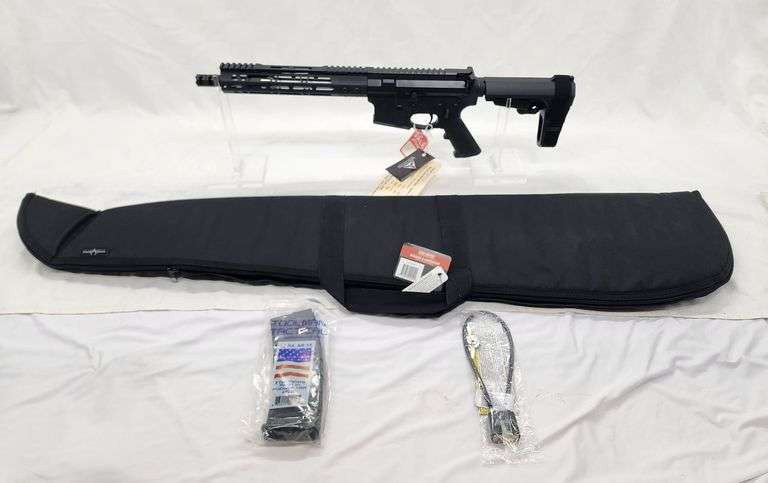 PAMAX TACTICAL   .556/.223  Semi Automatic RIFLE   SN# 00641