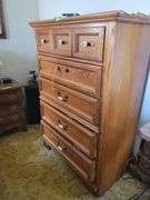 Susan Murphy Estate Guardianship Auction