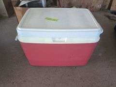 Susan Murphy Estate Guardianship Auction