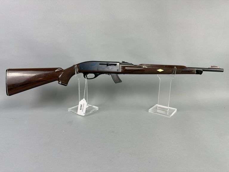 Remington Nylon, Mohawk 10C .22 LR Semi Auto Rifle w/magazine image