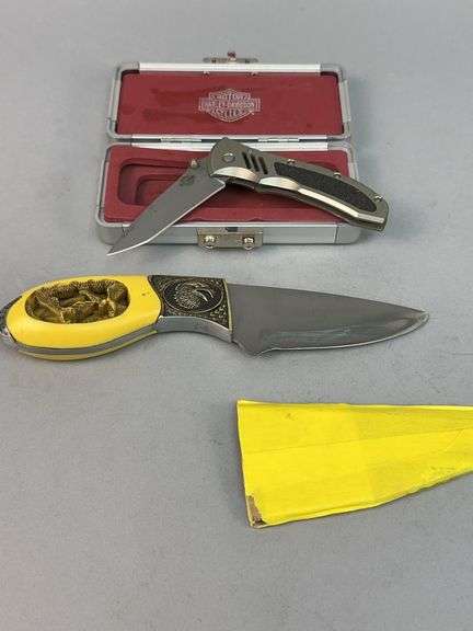Two Collectible Knives: Custom CryoEdge & Eagle Carved Knife image
