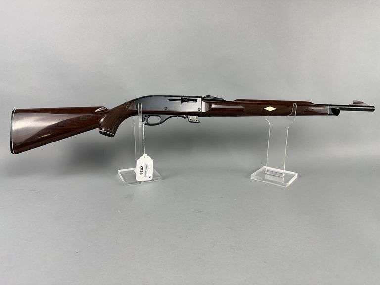 Remington Nylon, Mohawk 10C .22 LR Semi Auto Rifle w/magazine image