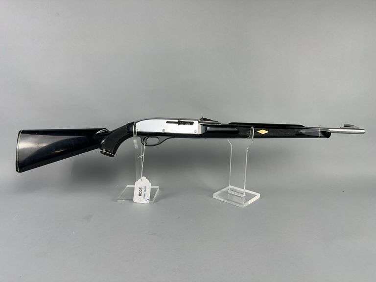 Remington Nylon 66 AB .22LR Semi Auto Rifle image