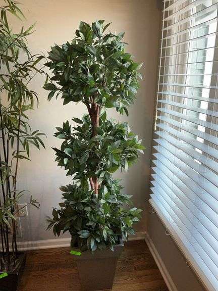 Tall Faux Bay Leaf Tree in Planter image