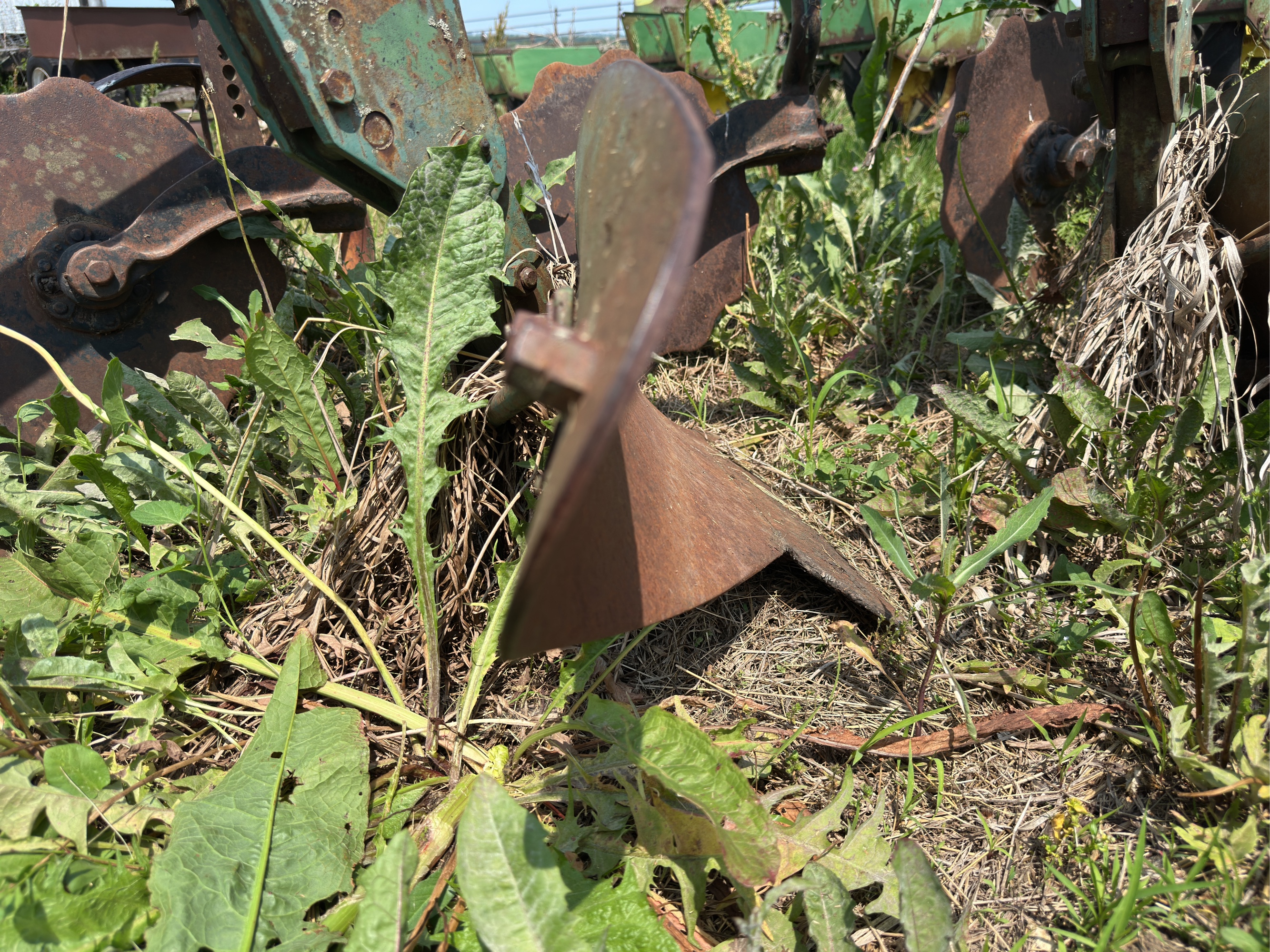 Lot image 10