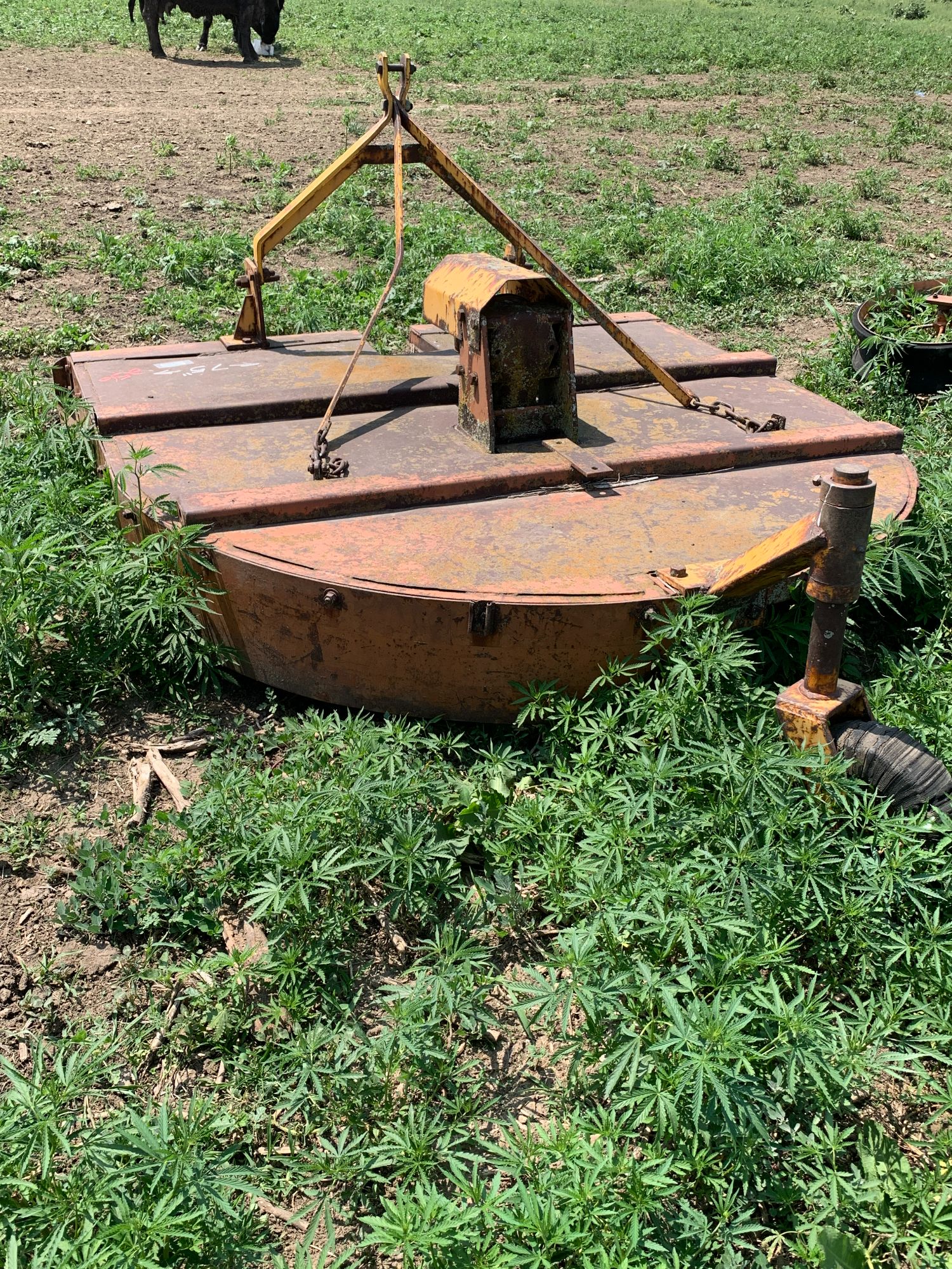 Lot image 5