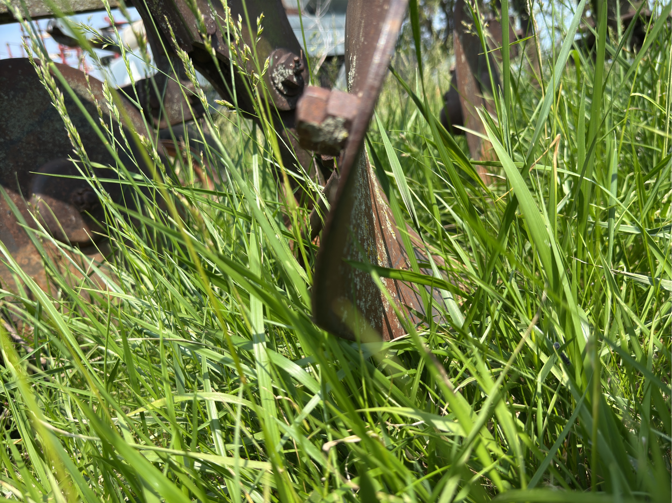 Lot image 10