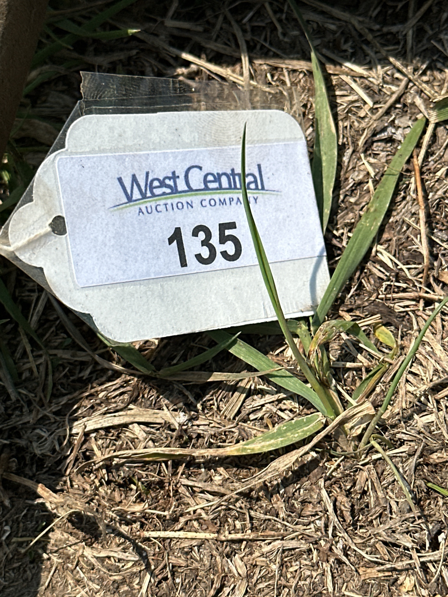 Lot image 4