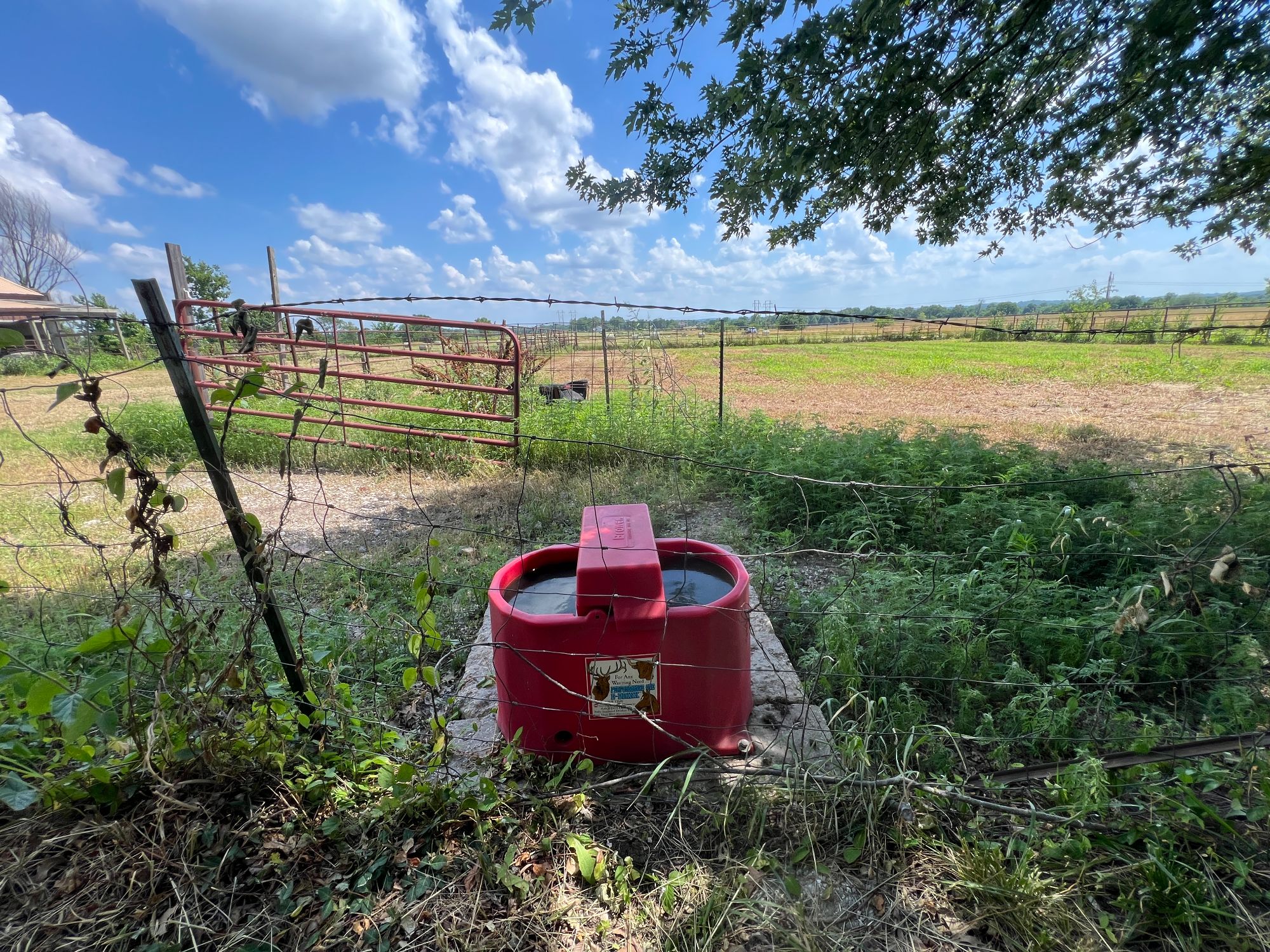 Lot image 30