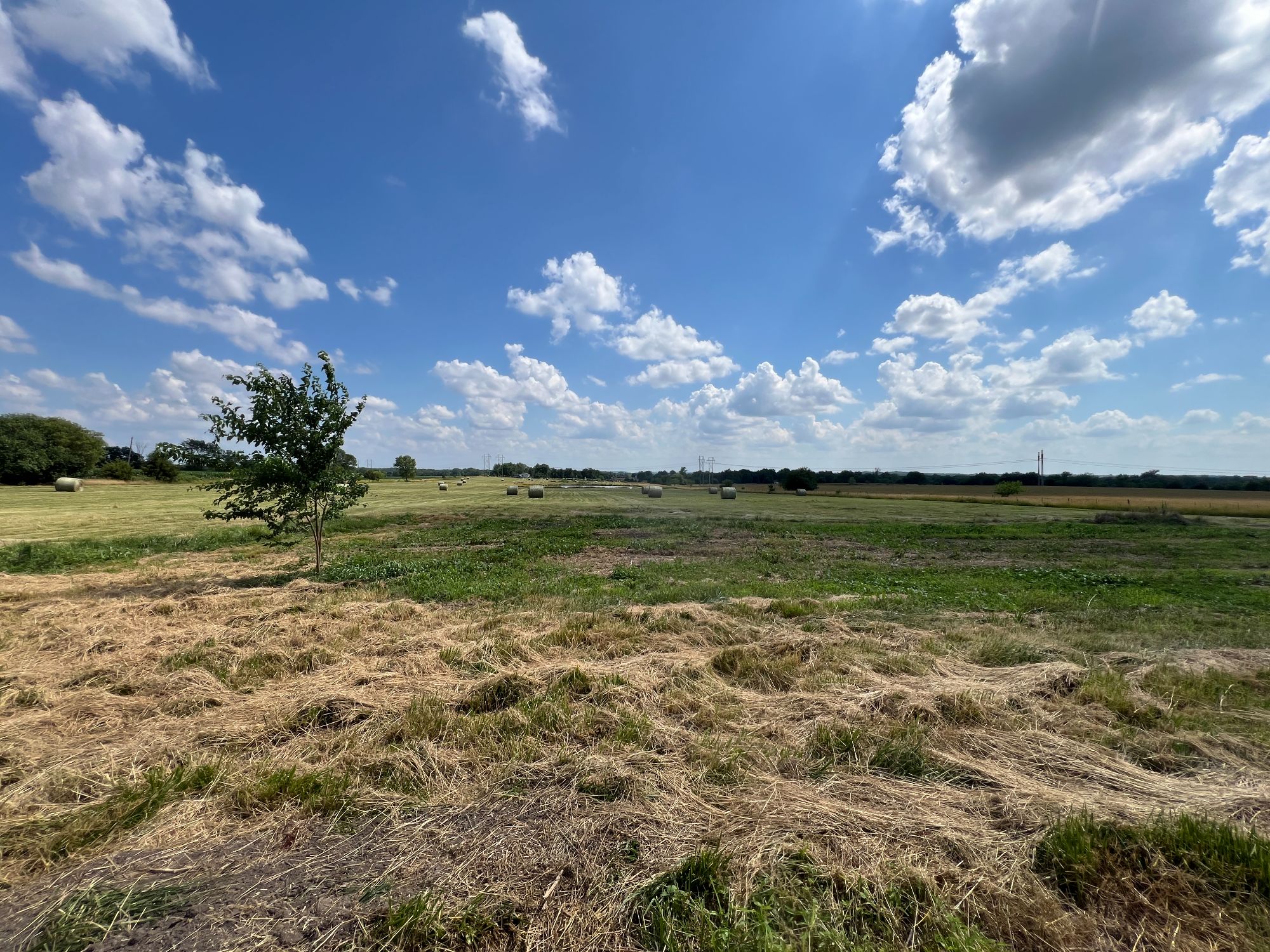 Lot image 39