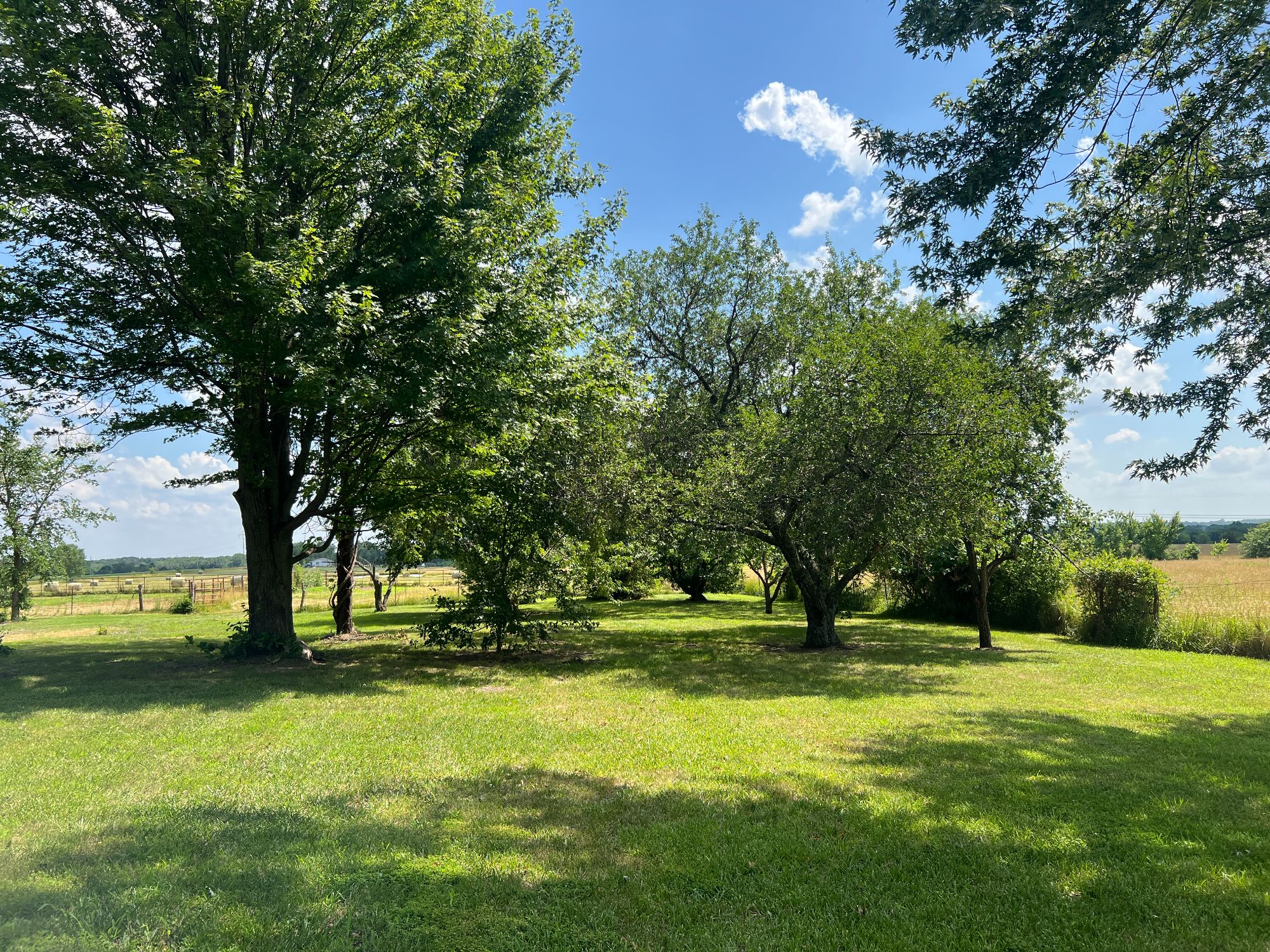 Lot image 7