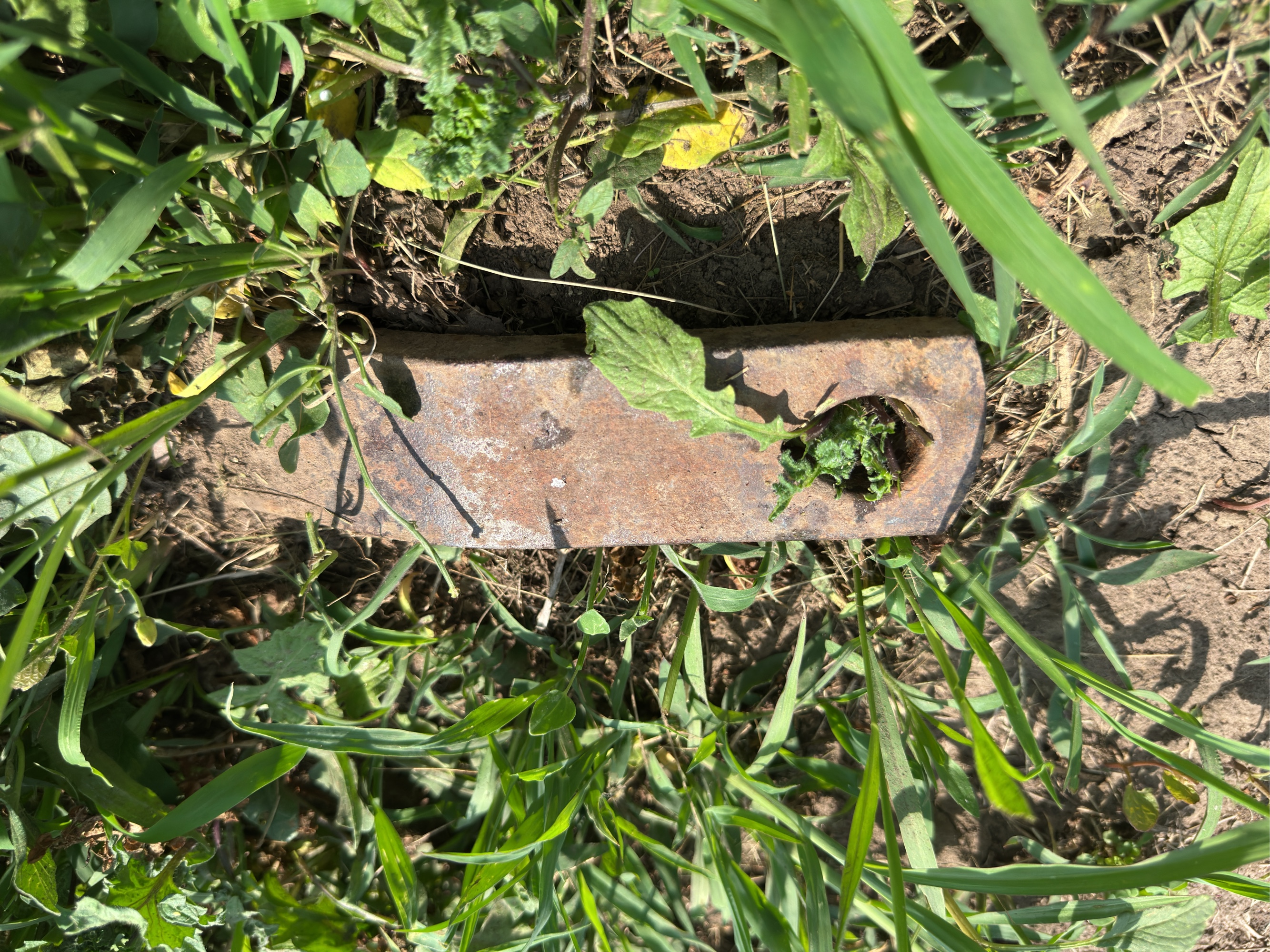 Lot image 9