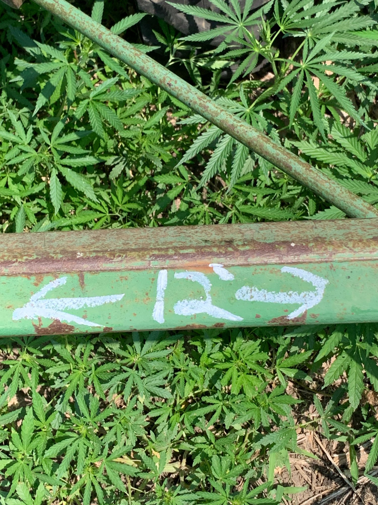 Lot image 10