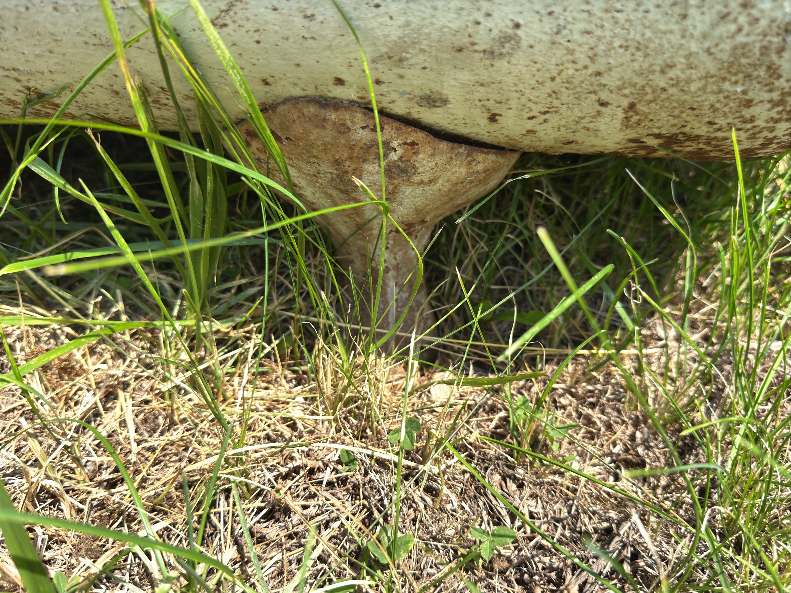Lot image 5