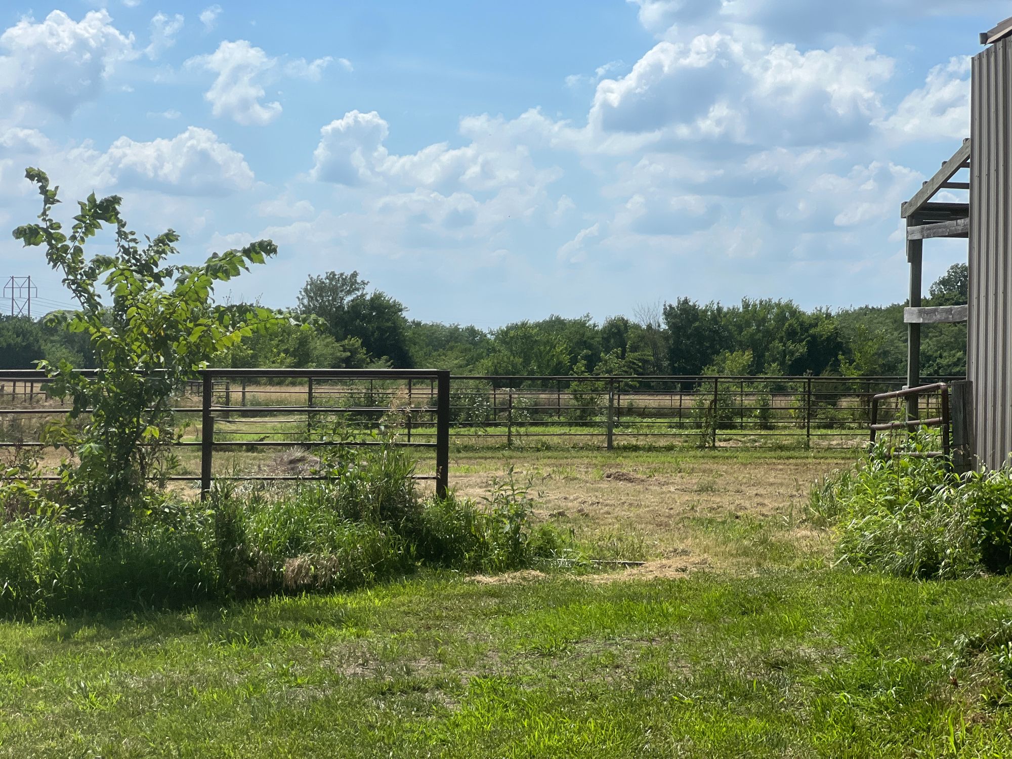 Lot image 37